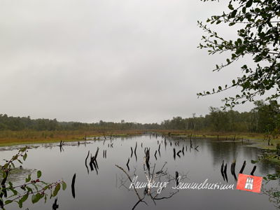 Moorsee im Wittmoor am 27.9.2022 Moorsee im Wittmoor am 27.9.2022