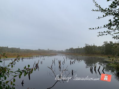 Moorsee im Wittmoor am 29.9.2022 Moorsee im Wittmoor am 29.9.2022