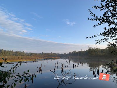 Moorsee im Wittmoor am 30.9.2022 Moorsee im Wittmoor am 30.9.2022