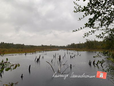 Moorsee im Wittmoor am 1.10.2022 Moorsee im Wittmoor am 1.10.2022