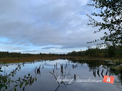 Moorsee im Wittmoor am 2.10.2022 Moorsee im Wittmoor am 2.10.2022