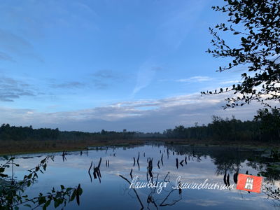Moorsee im Wittmoor am 4.10.2022 Moorsee im Wittmoor am 4.10.2022