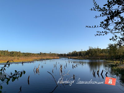 Moorsee im Wittmoor am 6.10.2022 Moorsee im Wittmoor am 6.10.2022