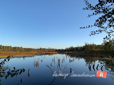 Moorsee im Wittmoor am 7.10.2022 Moorsee im Wittmoor am 7.10.2022