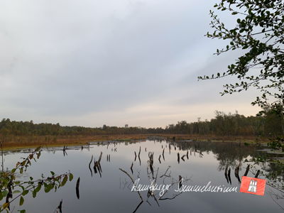 Moorsee im Wittmoor am 13.10.2022 Moorsee im Wittmoor am 13.10.2022