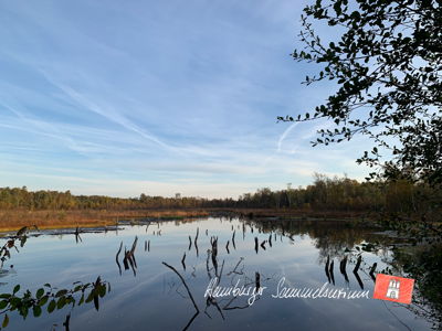 Moorsee im Wittmoor am 17.10.2022 Moorsee im Wittmoor am 17.10.2022