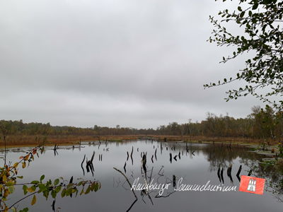 Moorsee im Wittmoor am 18.10.2022 Moorsee im Wittmoor am 18.10.2022
