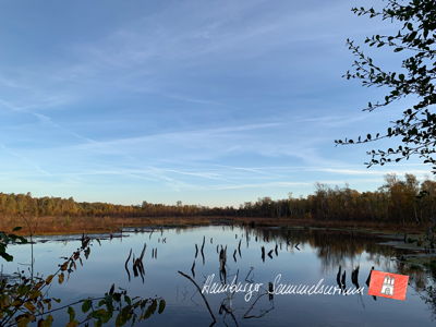 Moorsee im Wittmoor am 20.10.2022 Moorsee im Wittmoor am 20.10.2022