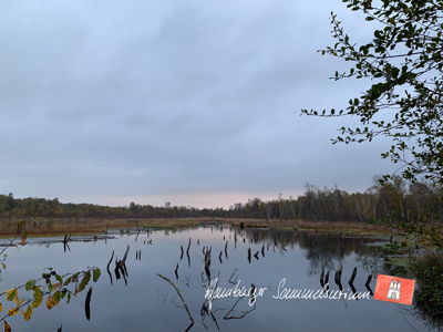 Moorsee im Wittmoor am 25.10.2022 Moorsee im Wittmoor am 25.10.2022