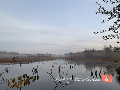 Moorsee im Wittmoor am 27.10.2022 Moorsee im Wittmoor am 27.10.2022