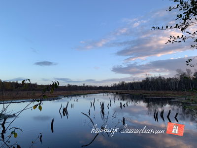 Moorsee im Wittmoor am 2.11.2022 Moorsee im Wittmoor am 2.11.2022