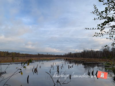 Moorsee im Wittmoor am 4.11.2022 Moorsee im Wittmoor am 4.11.2022