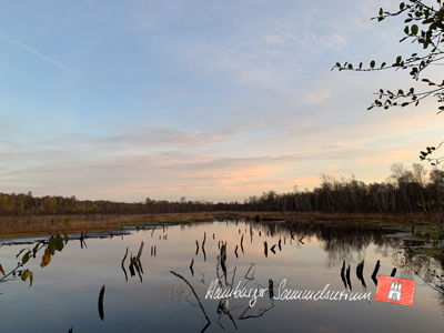 Moorsee im Wittmoor am 8.11.2022 Moorsee im Wittmoor am 8.11.2022