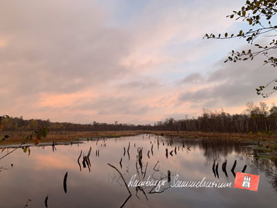 Moorsee im Wittmoor am 10.11.2022 Moorsee im Wittmoor am 10.11.2022