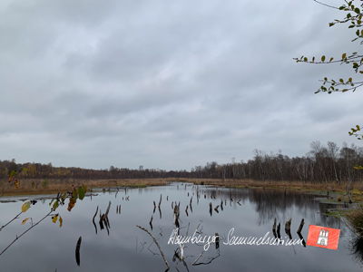 Moorsee im Wittmoor am 11.11.2022 Moorsee im Wittmoor am 11.11.2022