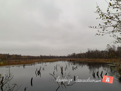 Moorsee im Wittmoor am 13.11.2022 Moorsee im Wittmoor am 13.11.2022