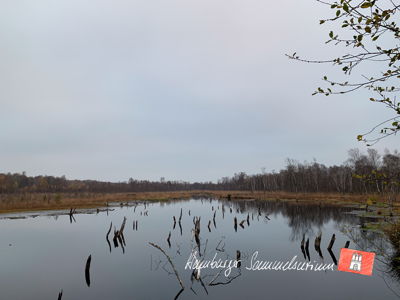 Moorsee im Wittmoor am 14.11.2022 Moorsee im Wittmoor am 14.11.2022