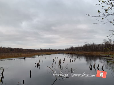 Moorsee im Wittmoor am 17.11.2022 Moorsee im Wittmoor am 17.11.2022