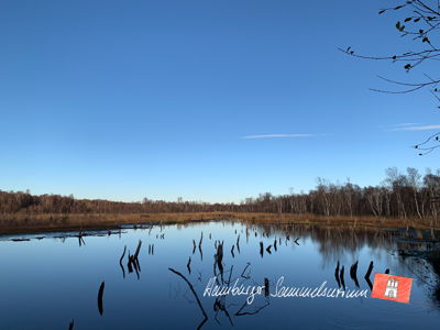 Moorsee im Wittmoor am 18.11.2022 Moorsee im Wittmoor am 18.11.2022