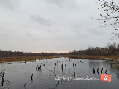 Moorsee im Wittmoor am 18.11.2022 Moorsee im Wittmoor am 18.11.2022