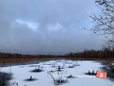 Moorsee im Wittmoor am 20.11.2022 Moorsee im Wittmoor am 20.11.2022