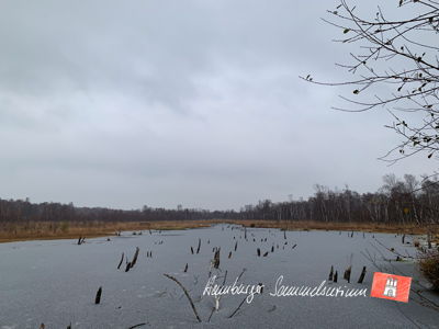 Moorsee im Wittmoor am 22.11.2022 Moorsee im Wittmoor am 22.11.2022