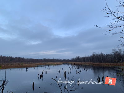 Moorsee im Wittmoor am 24.11.2022 Moorsee im Wittmoor am 24.11.2022