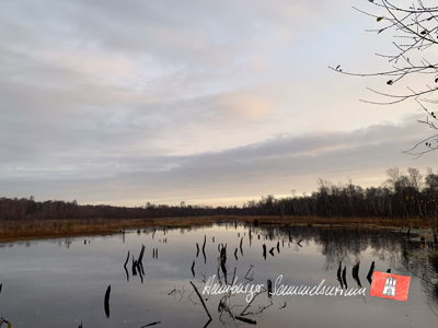 Moorsee im Wittmoor am 25.11.2022 Moorsee im Wittmoor am 25.11.2022