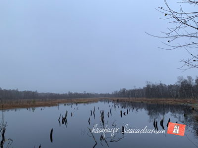 Moorsee im Wittmoor am 30.11.2022 Moorsee im Wittmoor am 30.11.2022