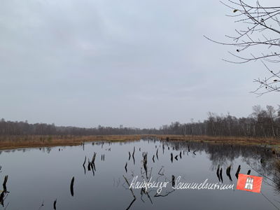 Moorsee im Wittmoor am 1.12.2022 Moorsee im Wittmoor am 1.12.2022