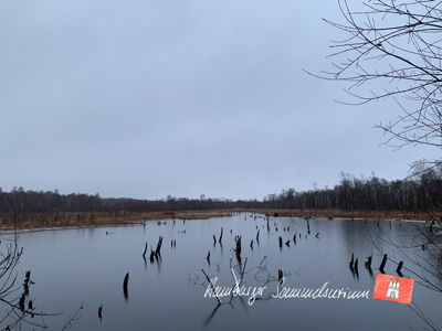 Moorsee im Wittmoor am 8.12.2022 Moorsee im Wittmoor am 8.12.2022