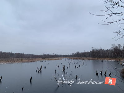 Moorsee im Wittmoor am 9.12.2022 Moorsee im Wittmoor am 9.12.2022