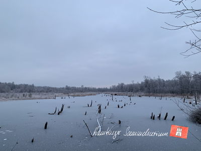 Moorsee im Wittmoor am 13.12.2022 Moorsee im Wittmoor am 13.12.2022