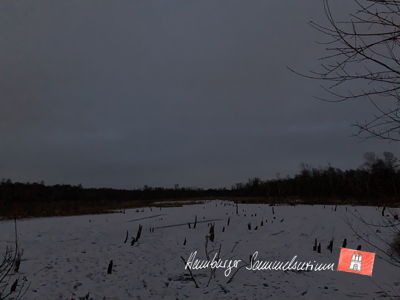 Moorsee im Wittmoor am 19.12.2022 Moorsee im Wittmoor am 19.12.2022