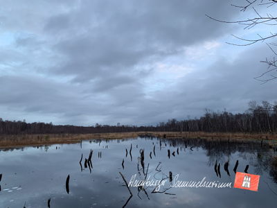 Moorsee im Wittmoor am 20.12.2022 Moorsee im Wittmoor am 20.12.2022