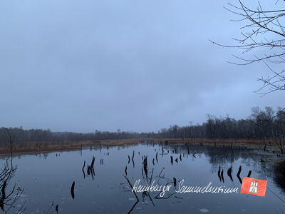 Moorsee im Wittmoor am 22.12.2022 Moorsee im Wittmoor am 22.12.2022