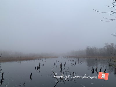 Moorsee im Wittmoor am 23.12.2022 Moorsee im Wittmoor am 23.12.2022