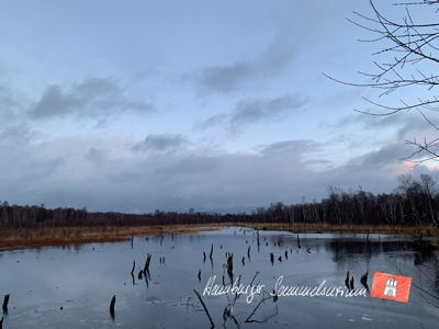 Moorsee im Wittmoor am 27.12.2022 Moorsee im Wittmoor am 27.12.2022