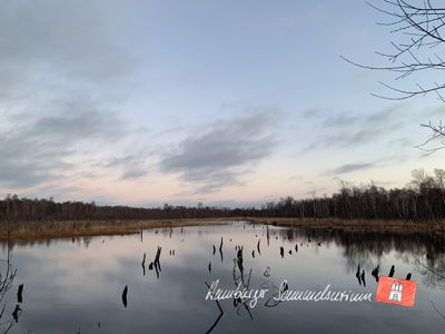 Moorsee im Wittmoor am 30.12.2022 Moorsee im Wittmoor am 30.12.2022