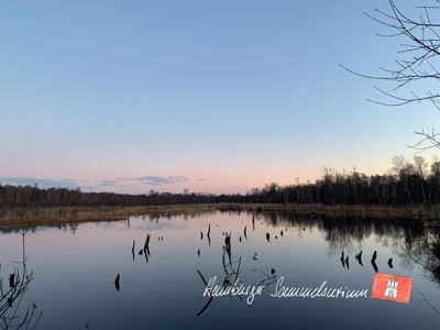 Moorsee im Wittmoor am 3.1.2023 Moorsee im Wittmoor am 3.1.2023