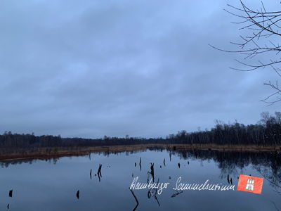 Moorsee im Wittmoor am 9.1.2023 Moorsee im Wittmoor am 9.1.2023