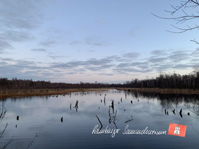 Moorsee im Wittmoor am 10.1.2023 Moorsee im Wittmoor am 10.1.2023
