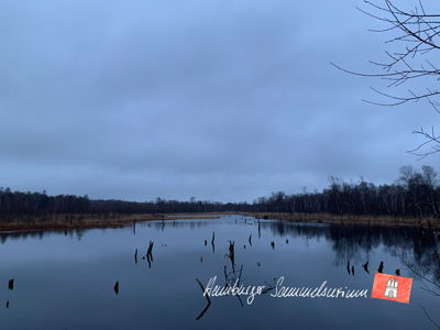 Moorsee im Wittmoor am 11.1.2023 Moorsee im Wittmoor am 11.1.2023