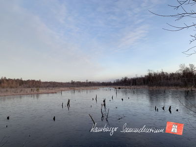 Moorsee im Wittmoor am 6.2.2023 Moorsee im Wittmoor am 6.2.2023
