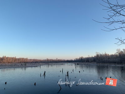 Moorsee im Wittmoor am 7.2.2023 Moorsee im Wittmoor am 7.2.2023