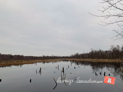 Moorsee im Wittmoor am 13.2.2023 Moorsee im Wittmoor am 13.2.2023