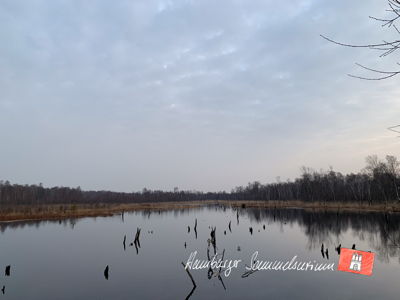 Moorsee im Wittmoor am 16.2.2023 Moorsee im Wittmoor am 16.2.2023