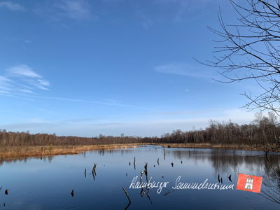 Moorsee im Wittmoor am 21.2.2023 Moorsee im Wittmoor am 21.2.2023