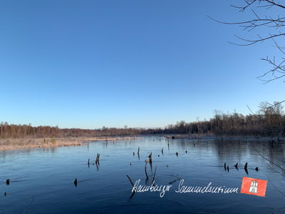 Moorsee im Wittmoor am 27.2.2023 Moorsee im Wittmoor am 27.2.2023