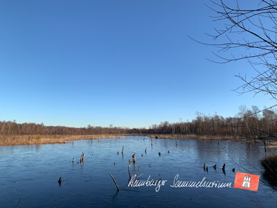 Moorsee im Wittmoor am 28.2.2023 Moorsee im Wittmoor am 28.2.2023